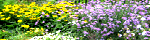 [Image: New Duntrune Demonstration Garden]