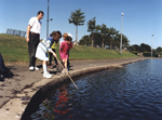 [Image: Stobsmuir Ponds]