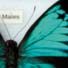[Image: Butterfly Collections Unit Highlight]