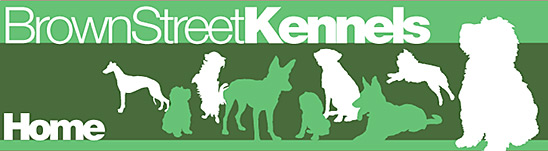 Brown Street Kennels