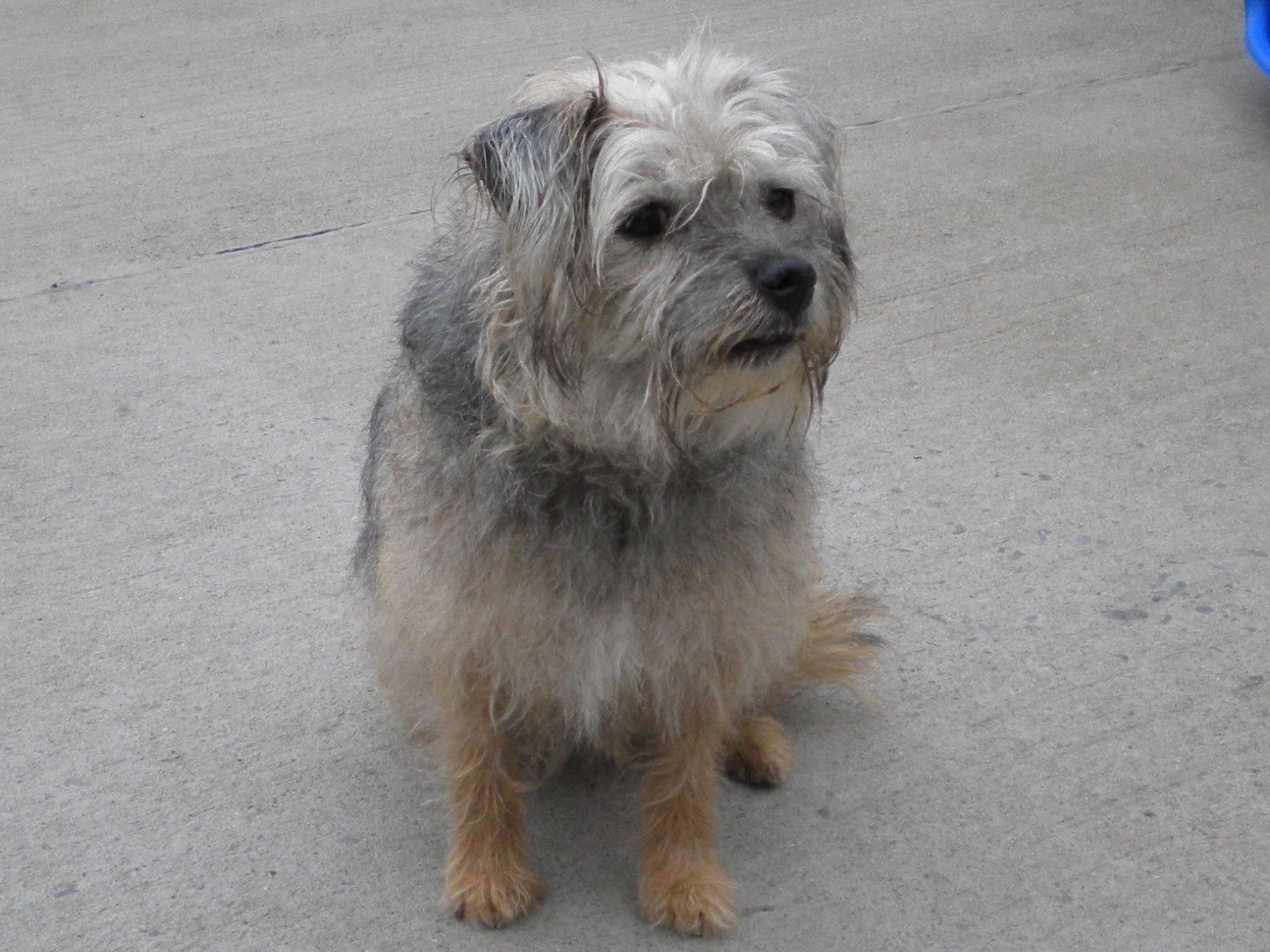 Tinker Dundee City Council