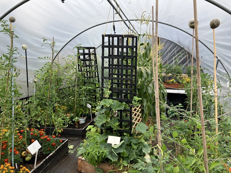 Community Garden - first place - Duntrune Community Garden