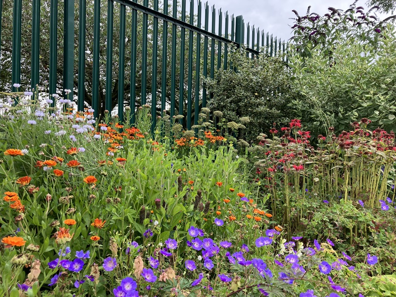 Community Garden - first place - Duntrune Community Garden