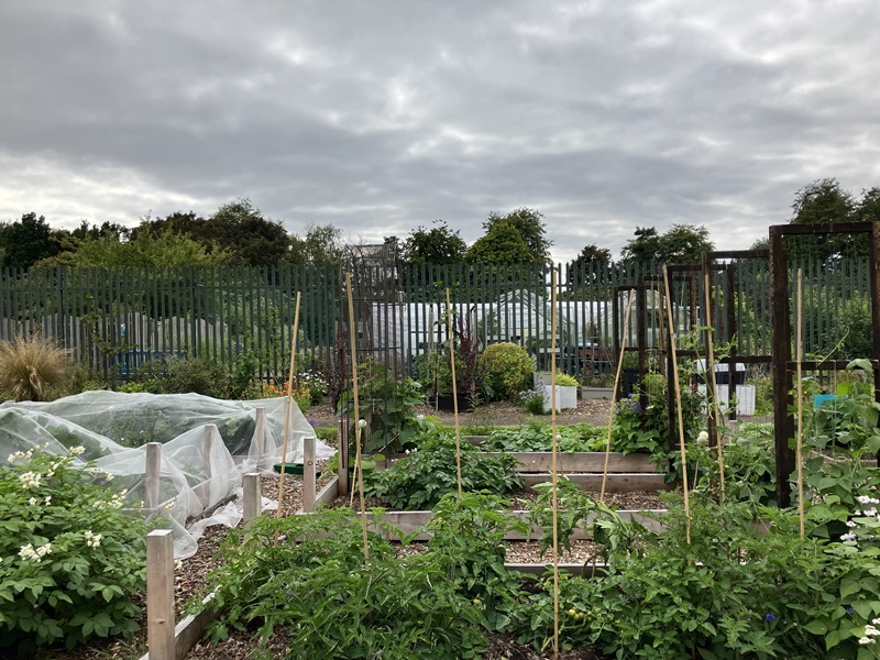 Community Garden - first place - Duntrune Community Garden