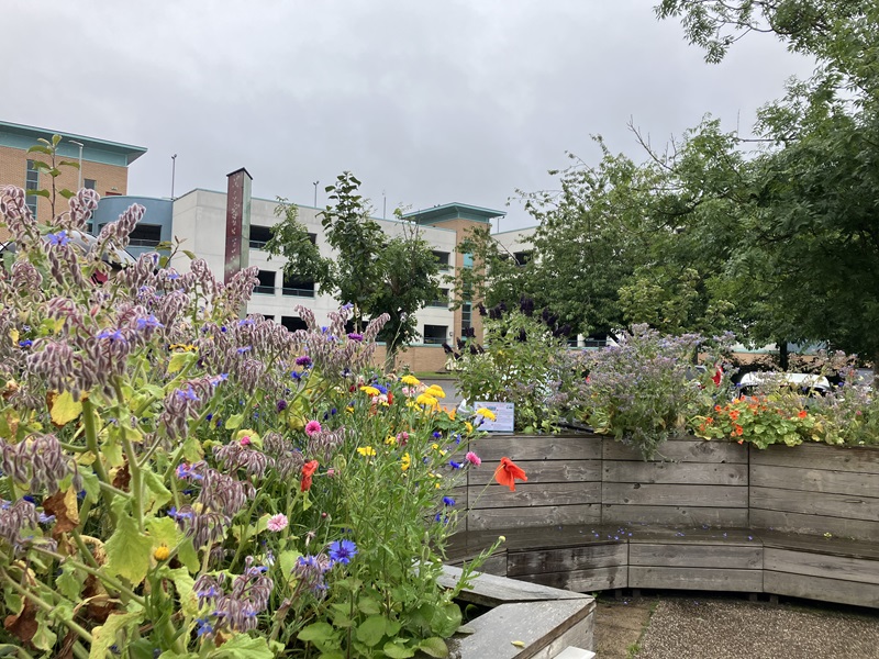 Community Garden - second place - Dundee Science Centre