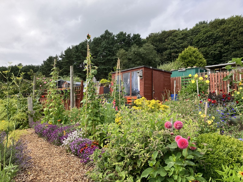 Corporate Trophy - First Place Overall Allotment Competition Winner