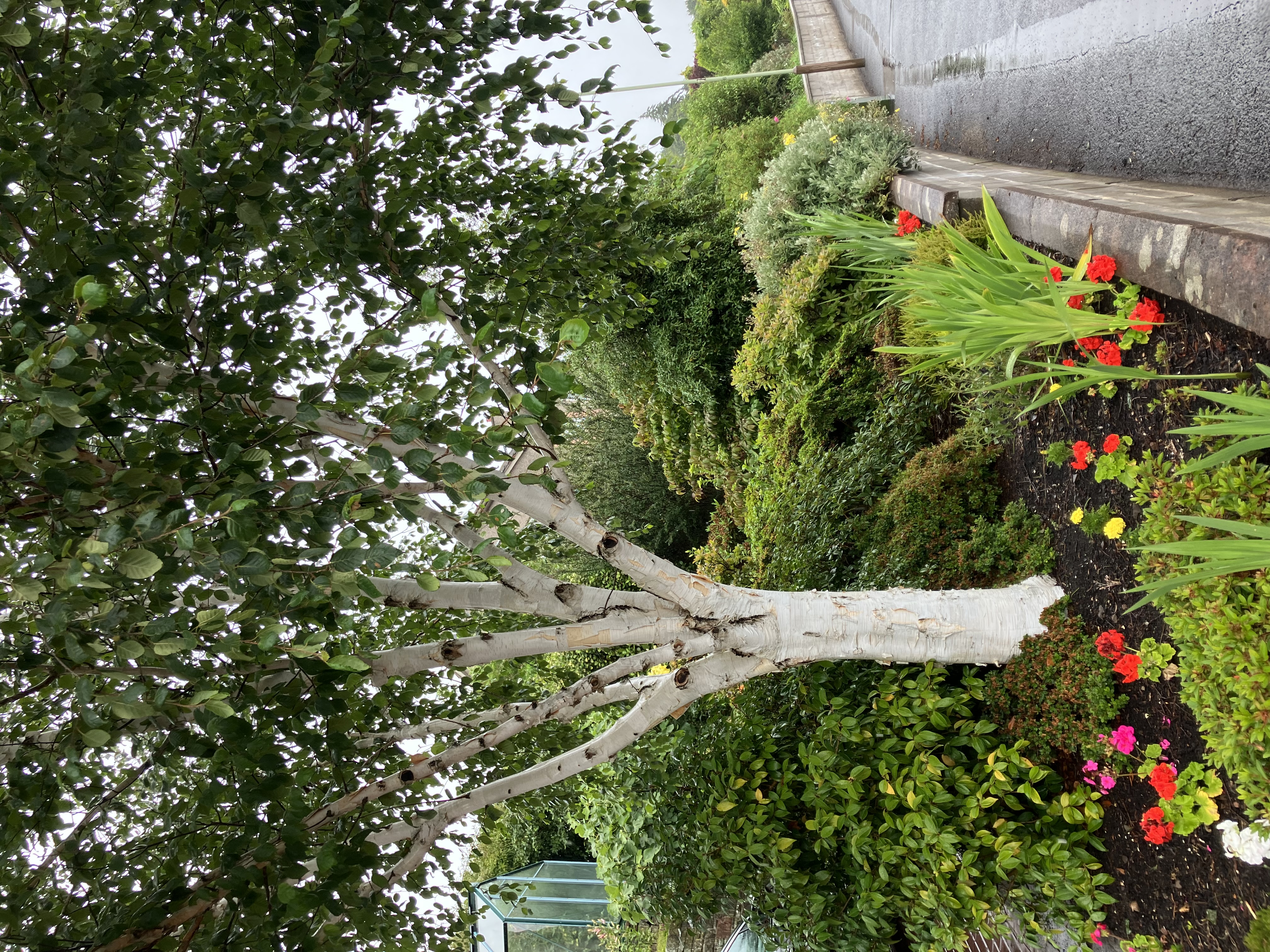Residential front garden or entrance - First place overall garden competition winner