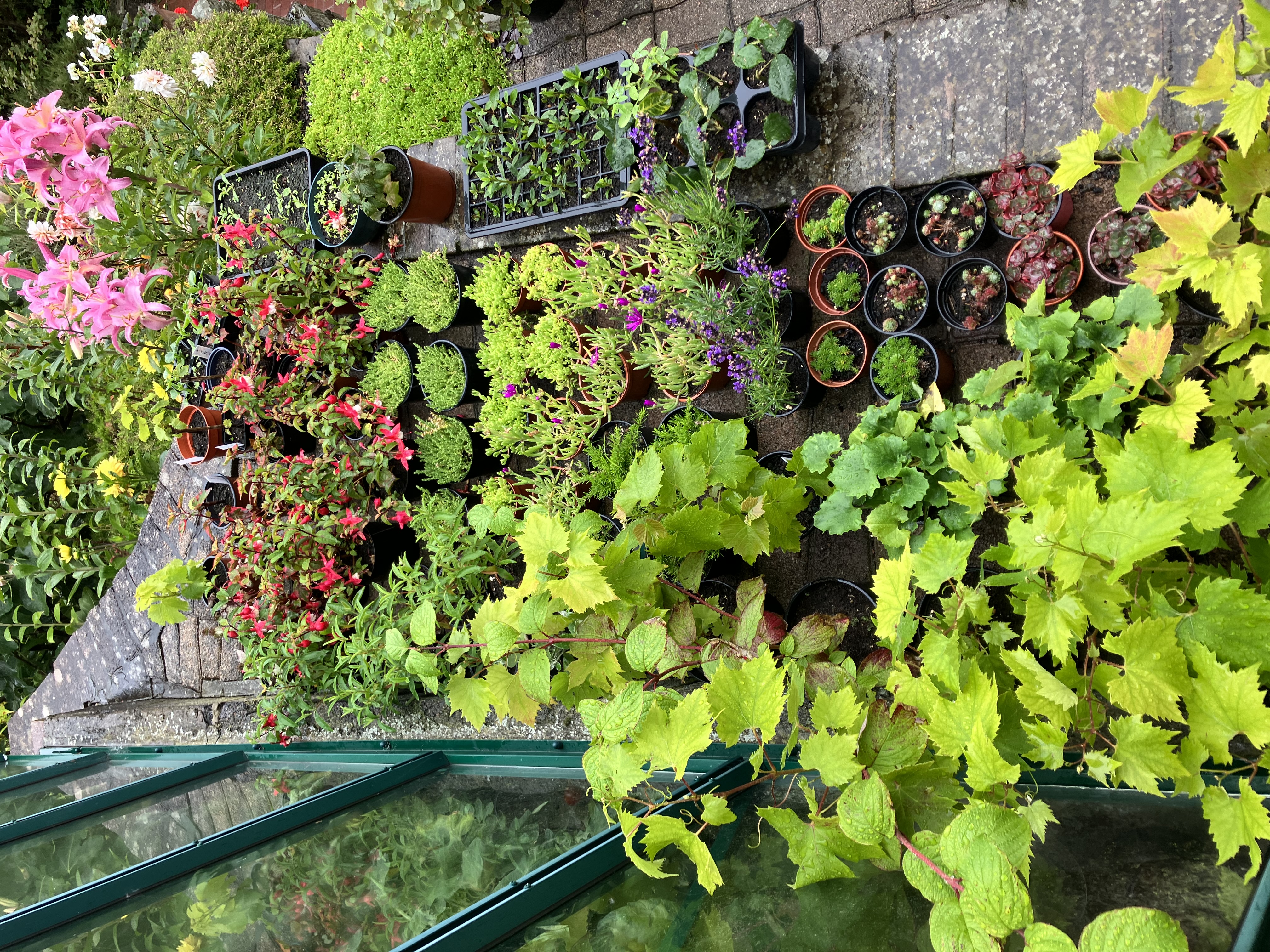 Residential front garden or entrance - First place overall garden competition winner