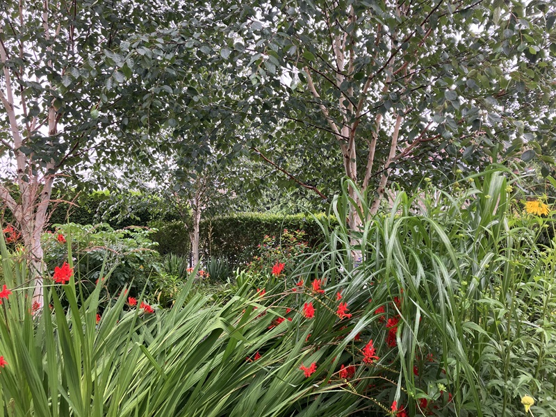 Residential front garden or entrance - Joint second place