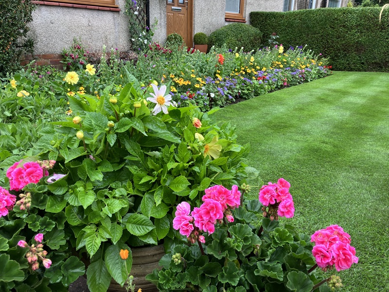 Residential front garden or entrance - Joint second place