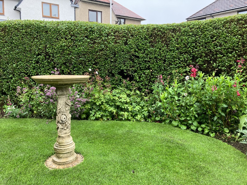 Residential front garden or entrance - Joint second place