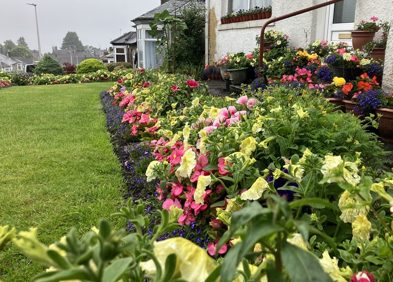 Residential front garden or entrance - Runners up