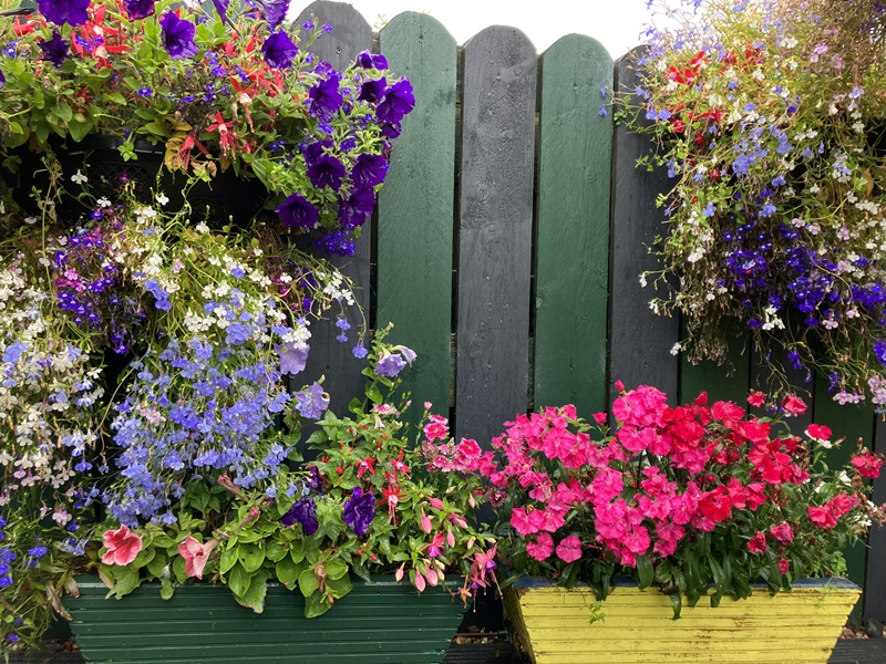 Residential front garden or entrance - Runners up