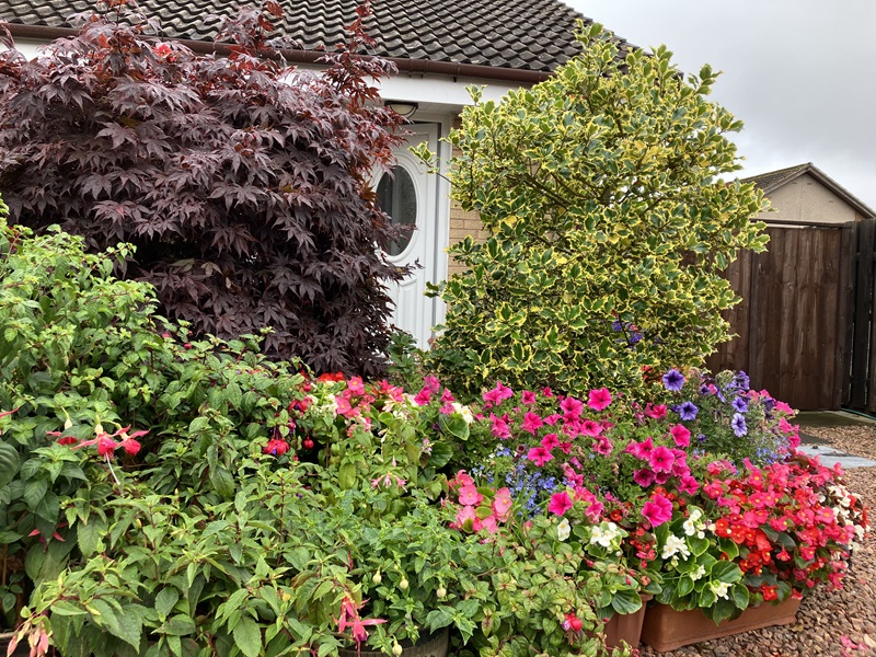 Residential front garden or entrance - Runners up