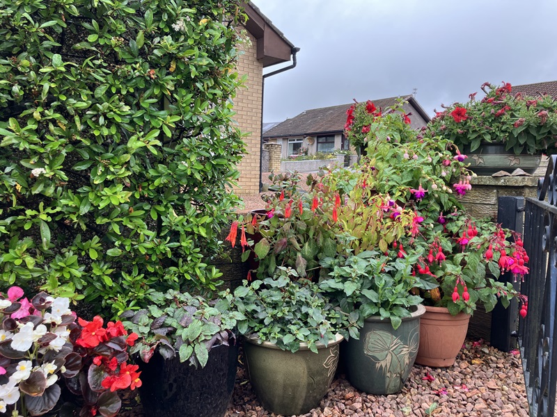 Residential front garden or entrance - Runners up