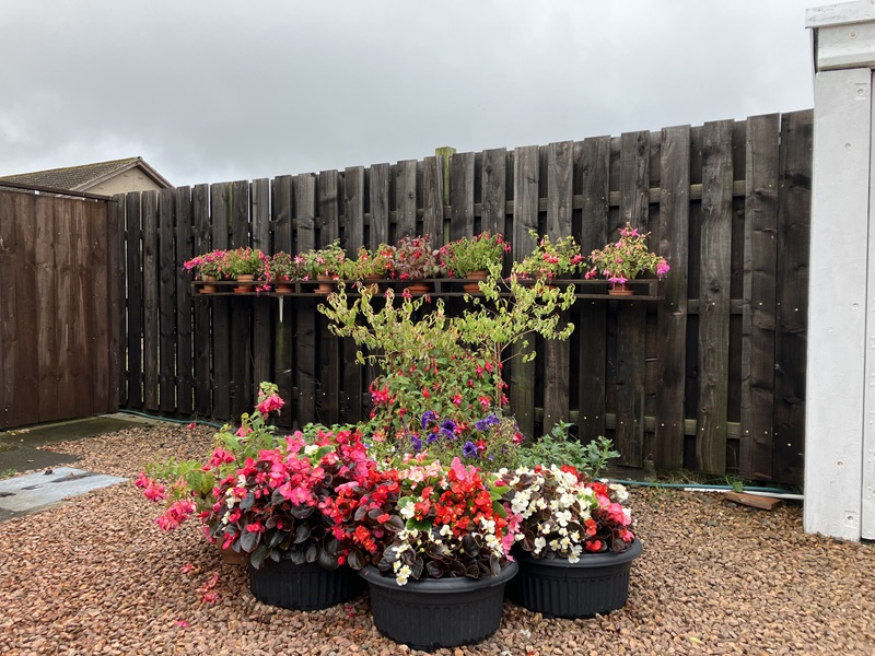 Residential front garden or entrance - Runners up