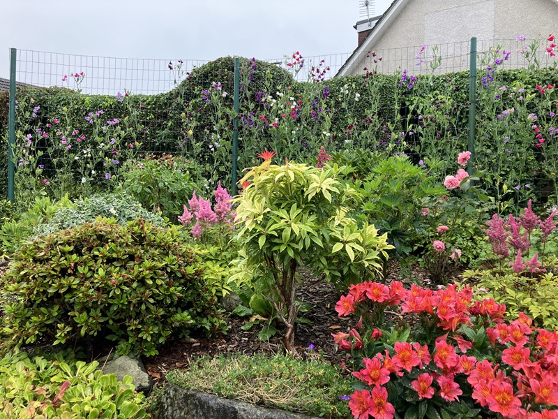 Residential front garden or entrance - Runners up