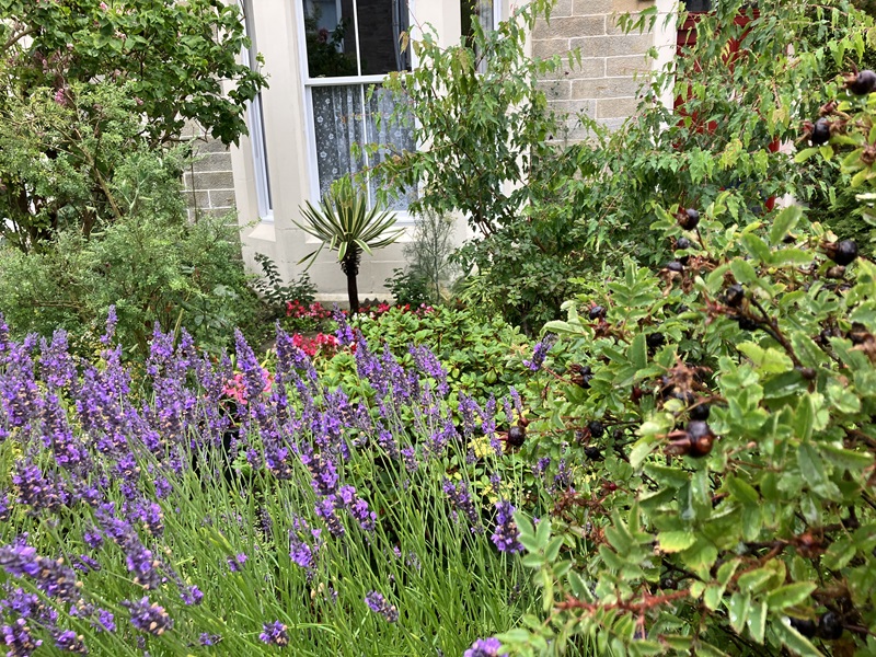 Residential front garden or entrance - Runners up
