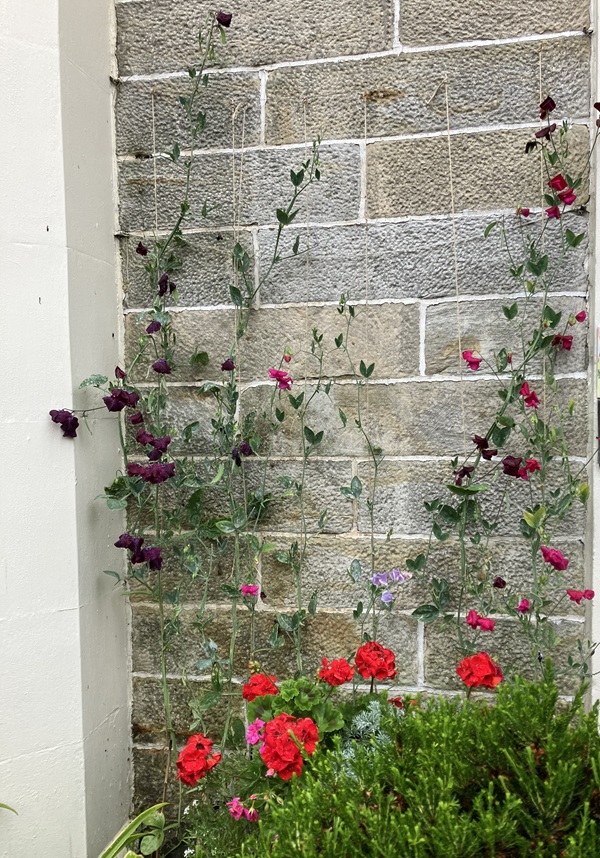 Residential front garden or entrance - Runners up
