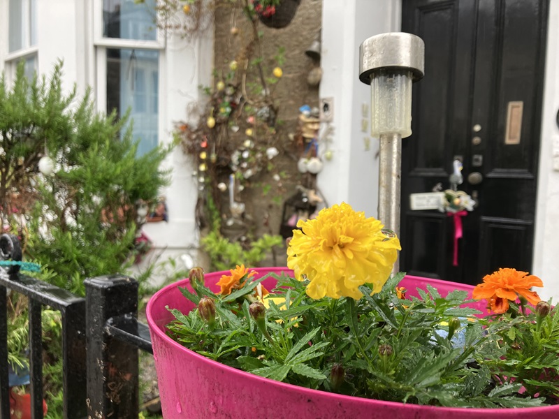Residential front garden or entrance - Runners up