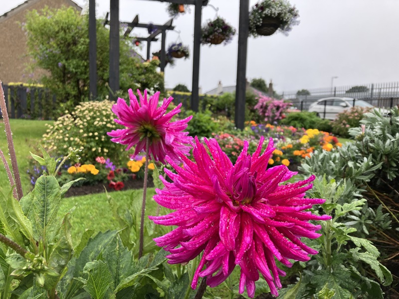 Residential front garden for council house tenants - First place