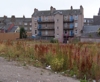 Eliza Street / Mains Loan Eliza Street / Mains Loan