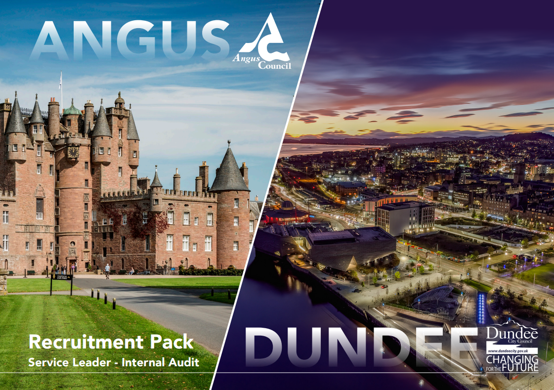 Service Leader - Internal Audit Recruitment Pack