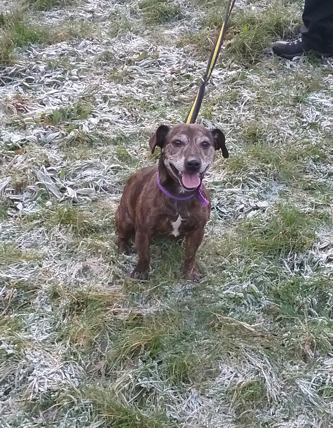 Lucy Dundee City Council