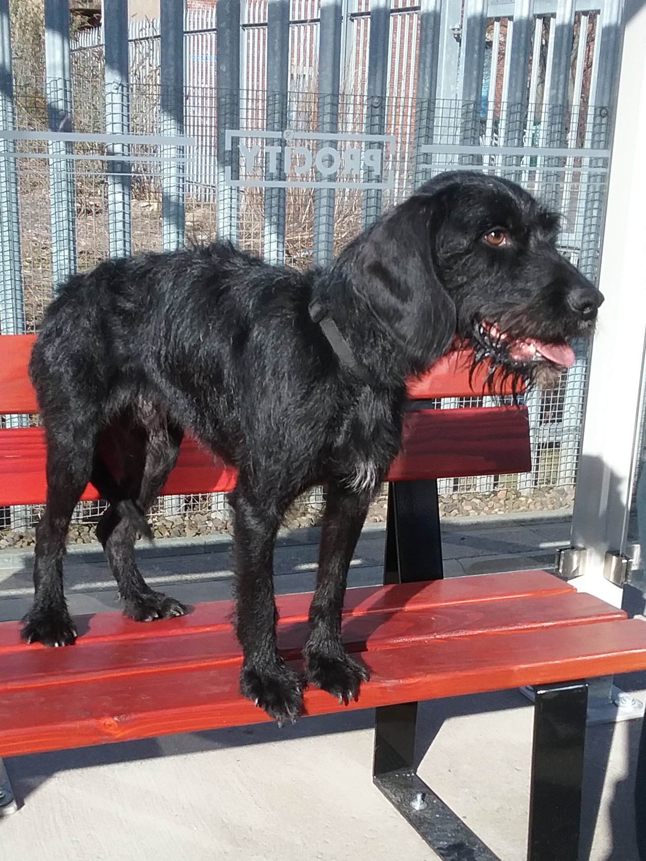 Onyx Dundee City Council