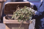 Image of brown bin for garden waste