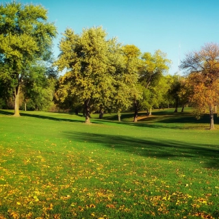 Riverside Park Image