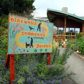 Ninewells Community Garden Image