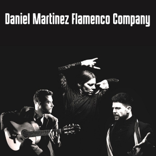 Art of Andalucia Flamenco Dance image