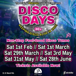 Disco Days Dundee Image