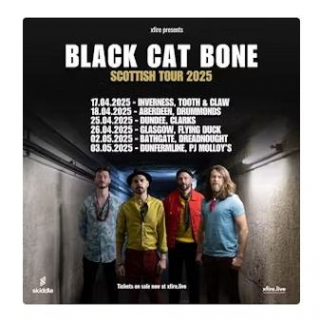 Black Cat Bone image