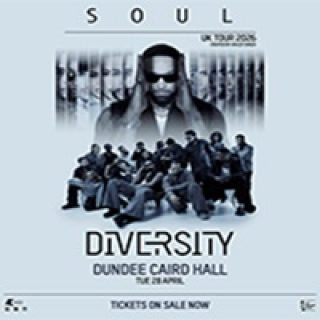 Diversity - Soul 2026 Image