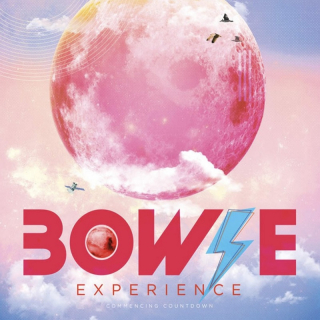 Bowie Experience  Image