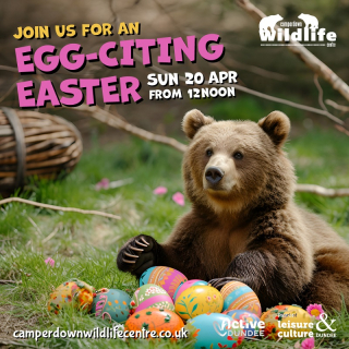 Egg-citing Easter at Camperdown Wildlife Centre Image