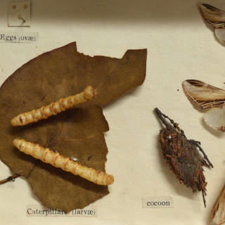 The Museum of Tiny Things - Creative Workshop image