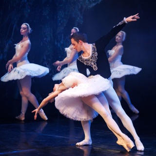 Swan Lake Image