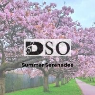 Summer Serenades Image