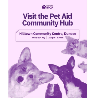 Pet Aid Community Hub image