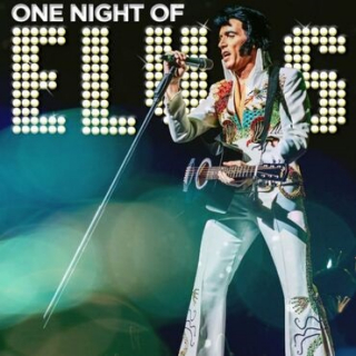 One Night of Elvis starring Lee Memphis King  image