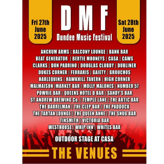 Dundee Music Festival image