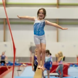 Gymnastics Camp Image