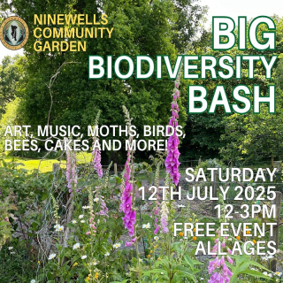 Ninewells Community Garden Annual Big Biodiversity Bash image