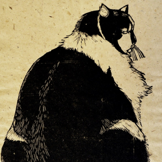 Cats: From Predators to Pets Image