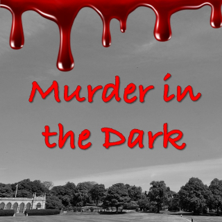 Murder in the Dark image