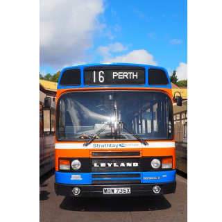Dundee Bus Fest Image Dundee Bus Fest Image