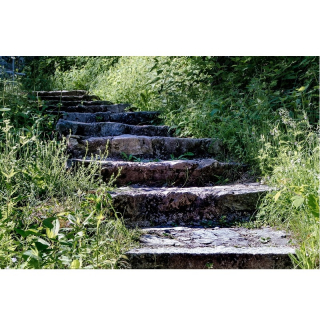 Writing From Nature image